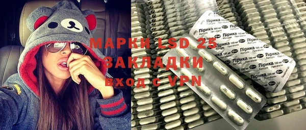 шишки Карпинск