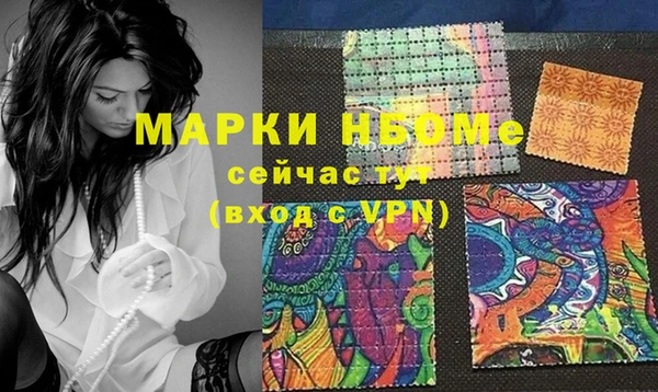 прущие грибы Абинск