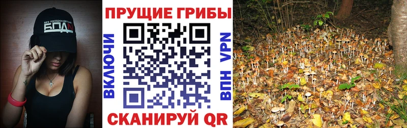наркошоп  Лангепас  hydra рабочий сайт  Псилоцибиновые грибы мухоморы 