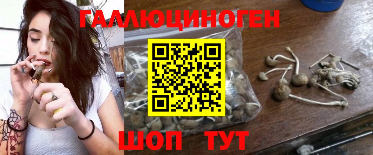 Псилоцибиновые грибы прущие грибы  Вход с VPN  Лангепас 